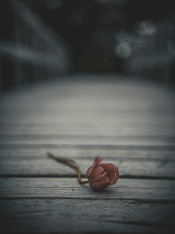 story-img