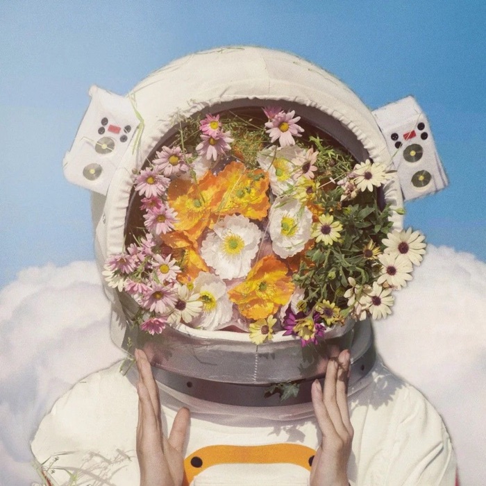 profile cover