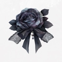 profile cover