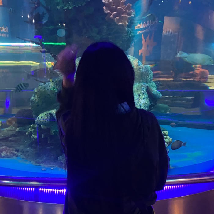 profile cover