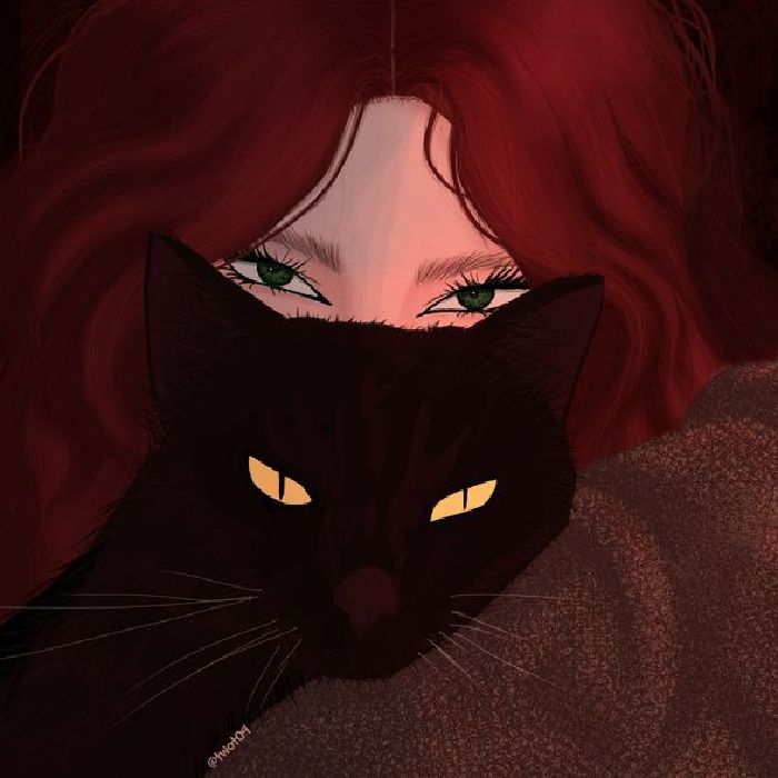 profile cover
