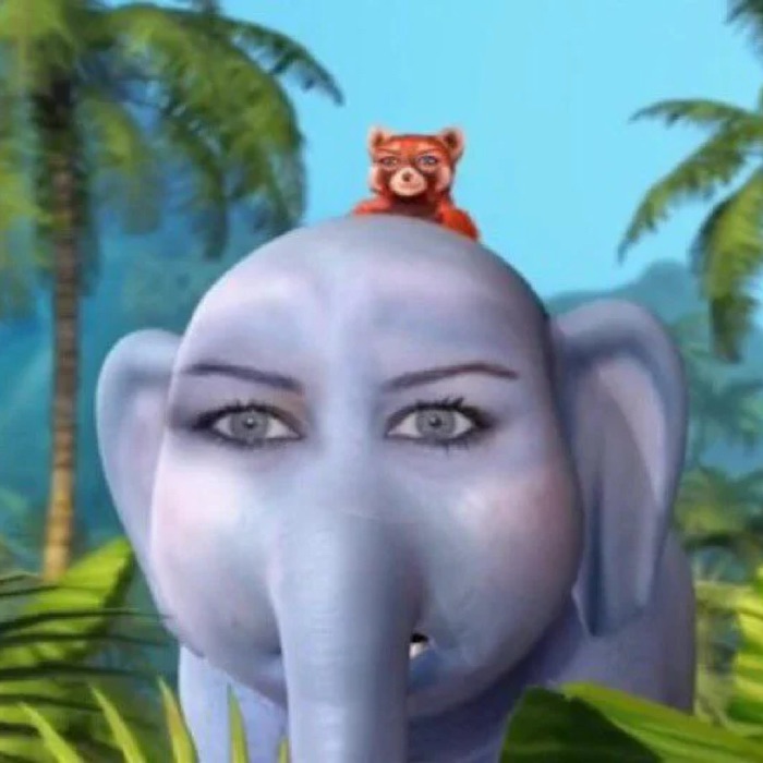 profile cover