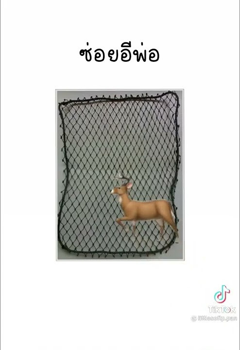 story-img