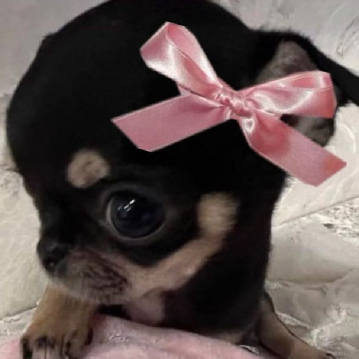 profile cover