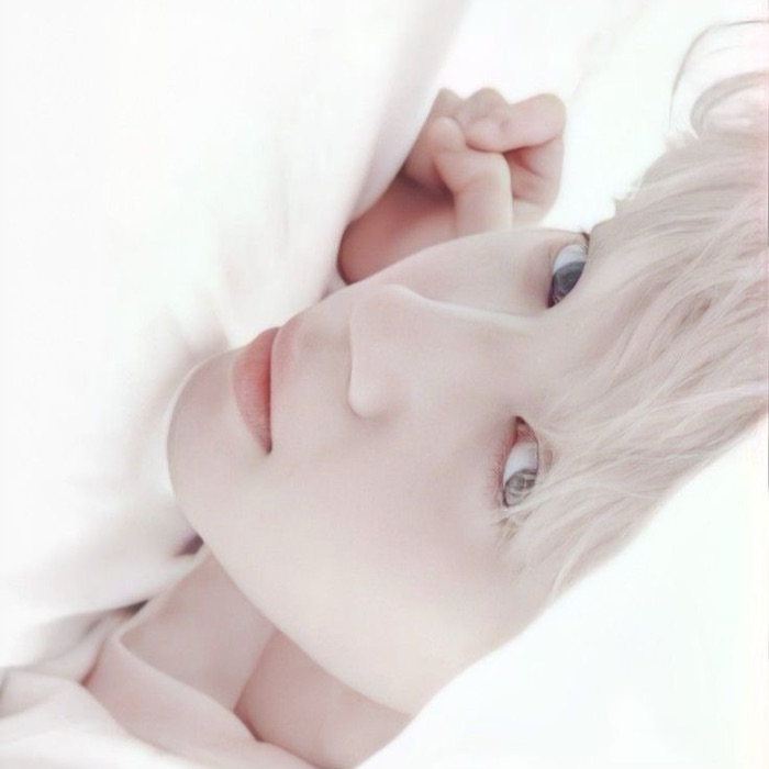 profile cover