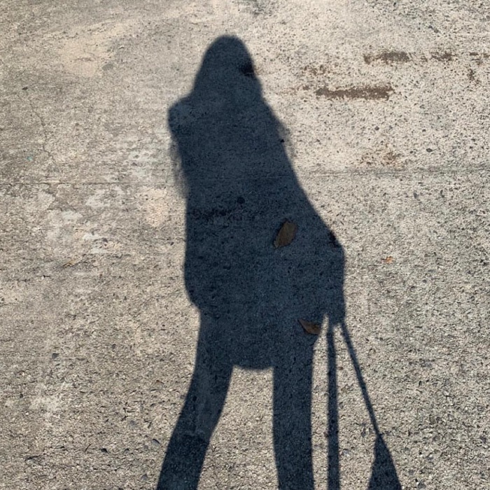 profile cover