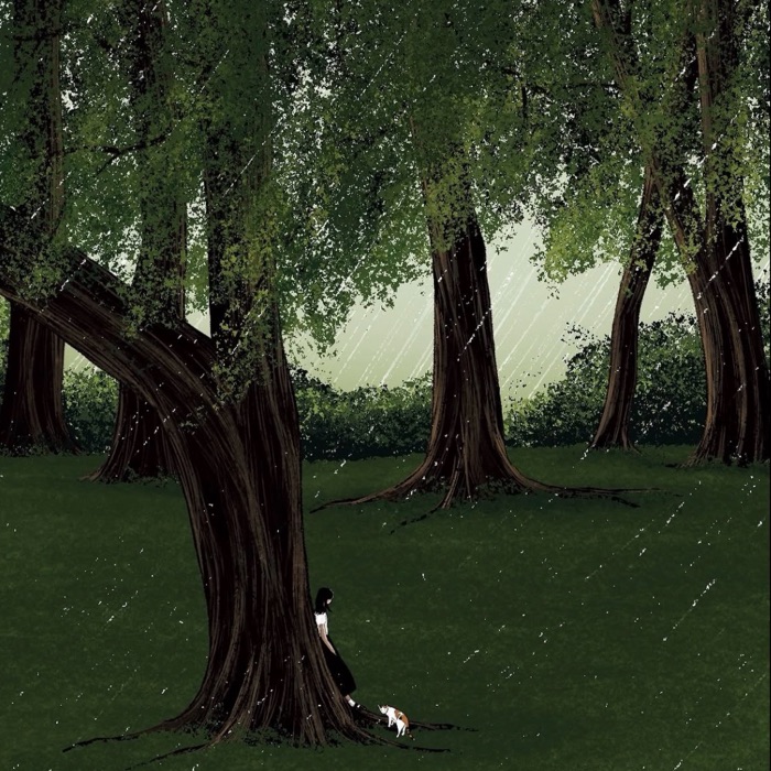 profile cover