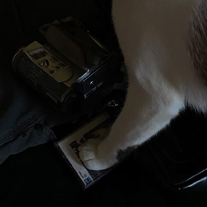 profile cover