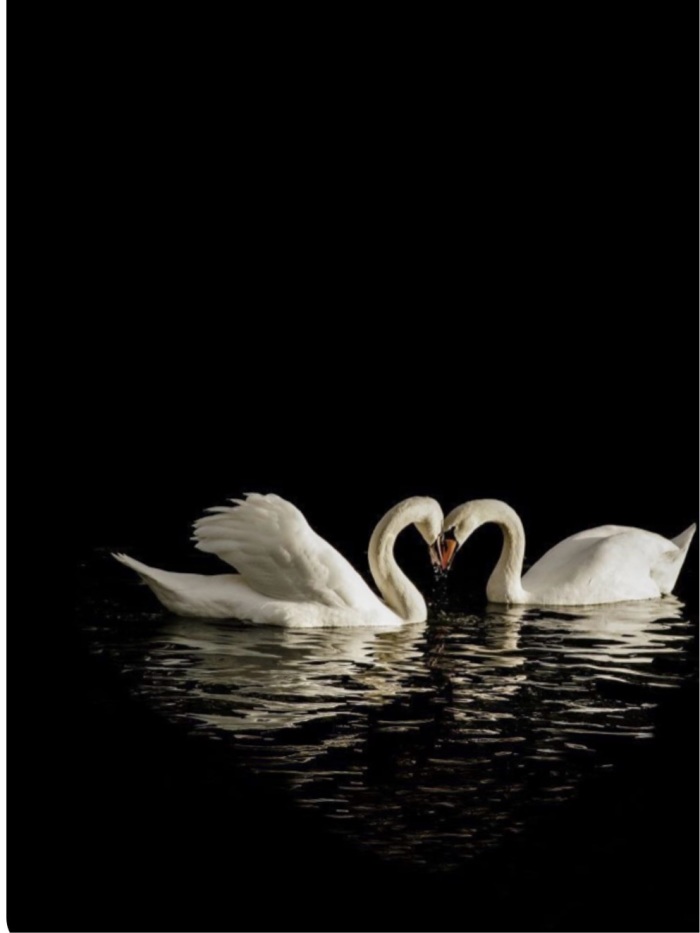 story-img