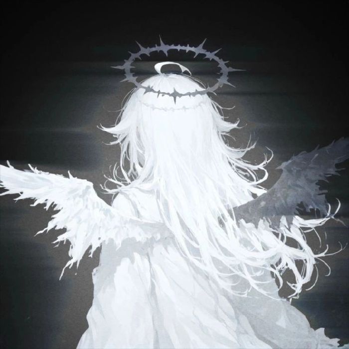 profile cover
