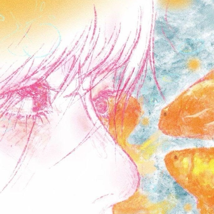 profile cover