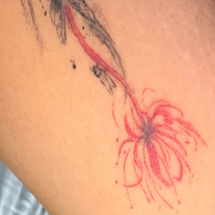profile cover