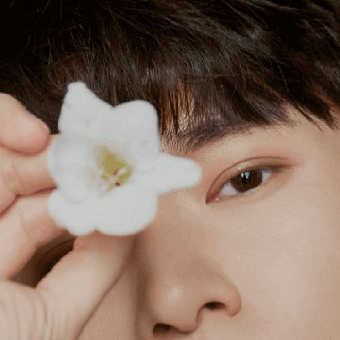 profile cover