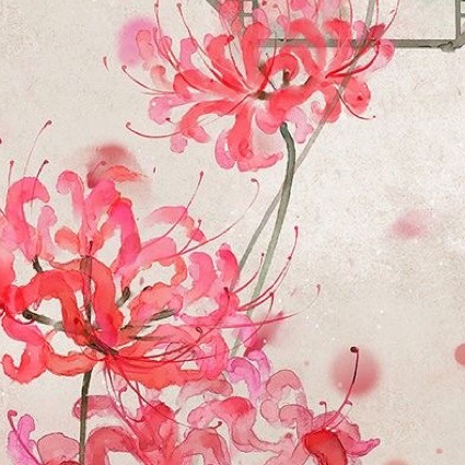 profile cover