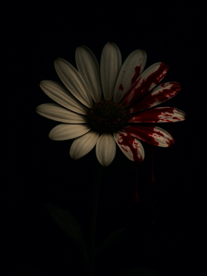 story-img