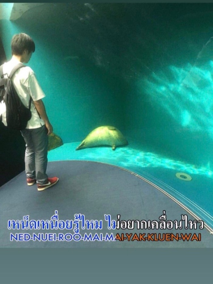 story-img