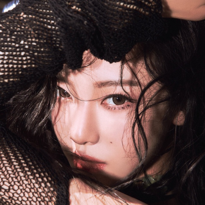 profile cover