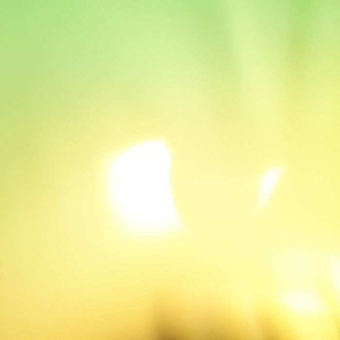 profile cover