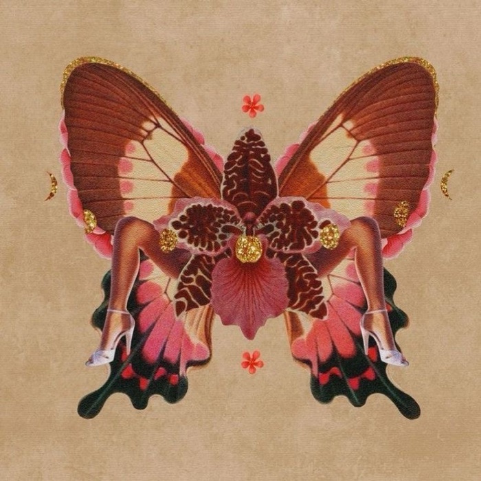profile cover