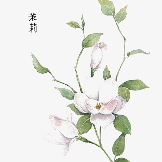 profile cover