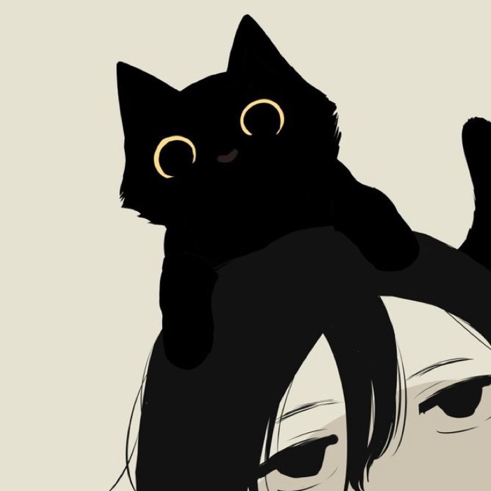 profile cover
