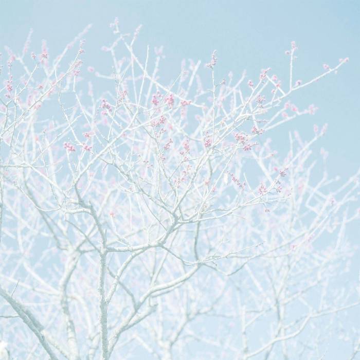 profile cover