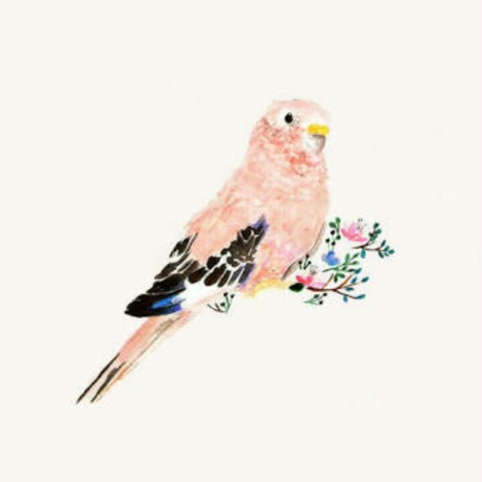 profile cover