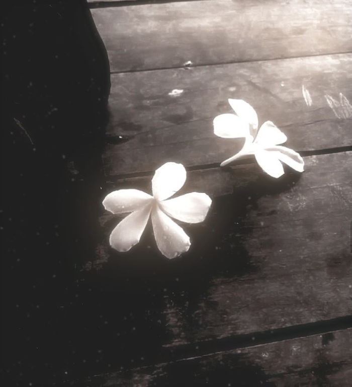 story-img