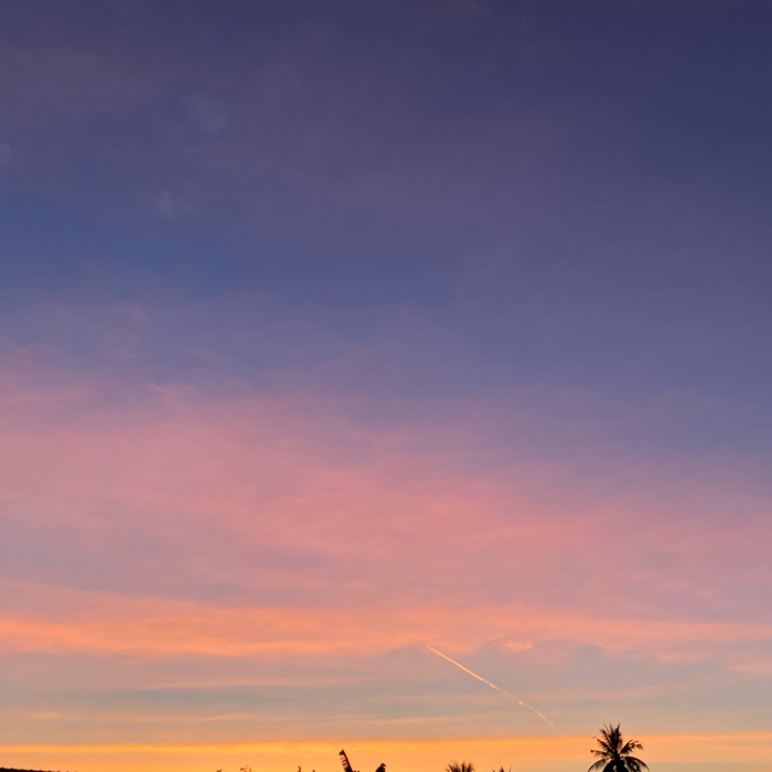 profile cover