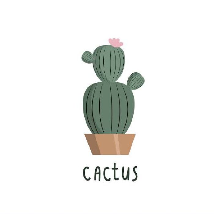 profile cover