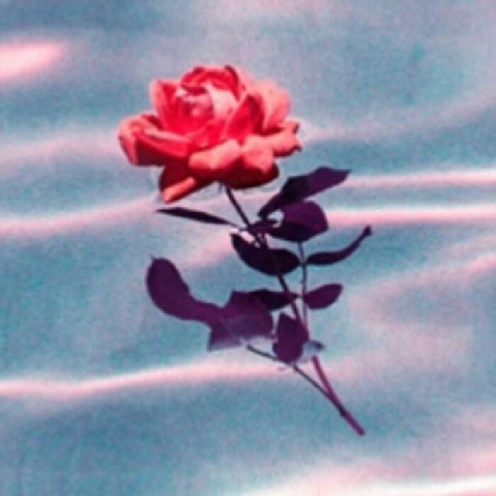 profile cover
