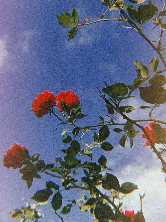 story-img