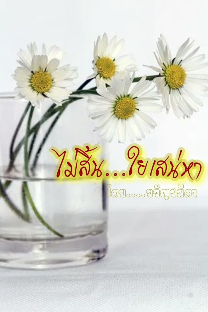 story-img