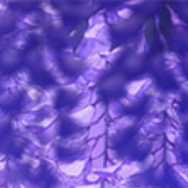 profile cover