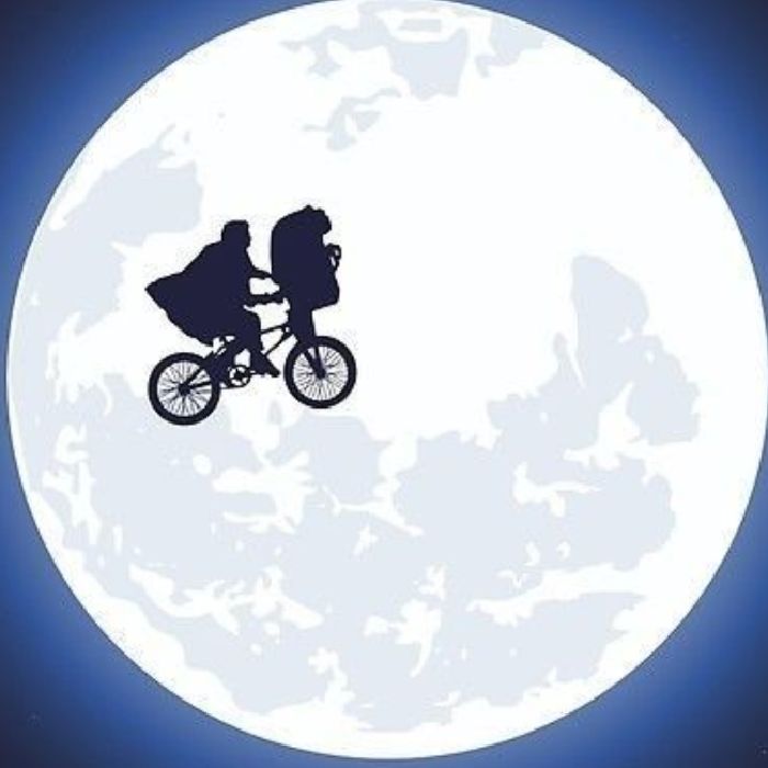 profile cover