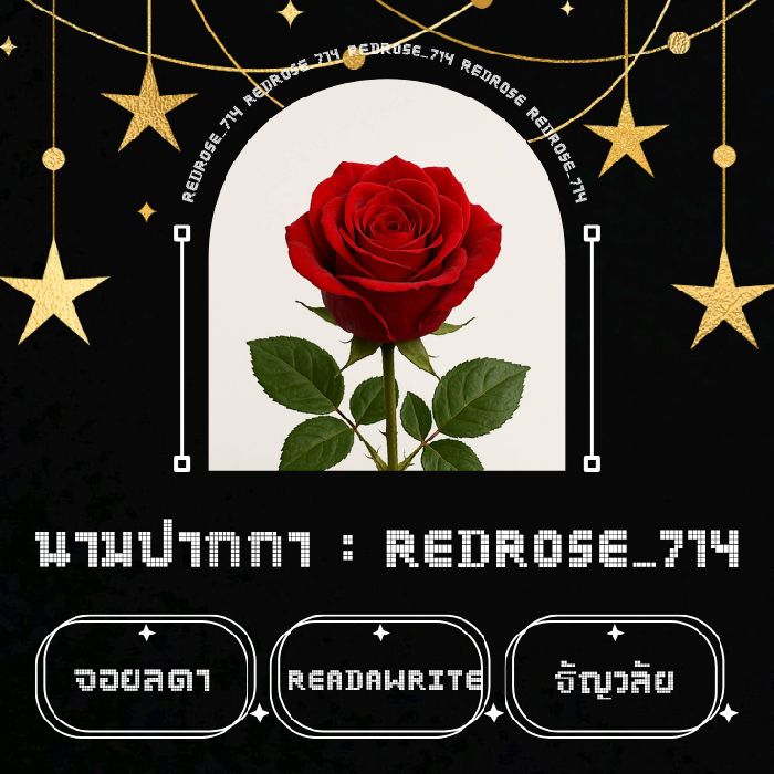 profile cover