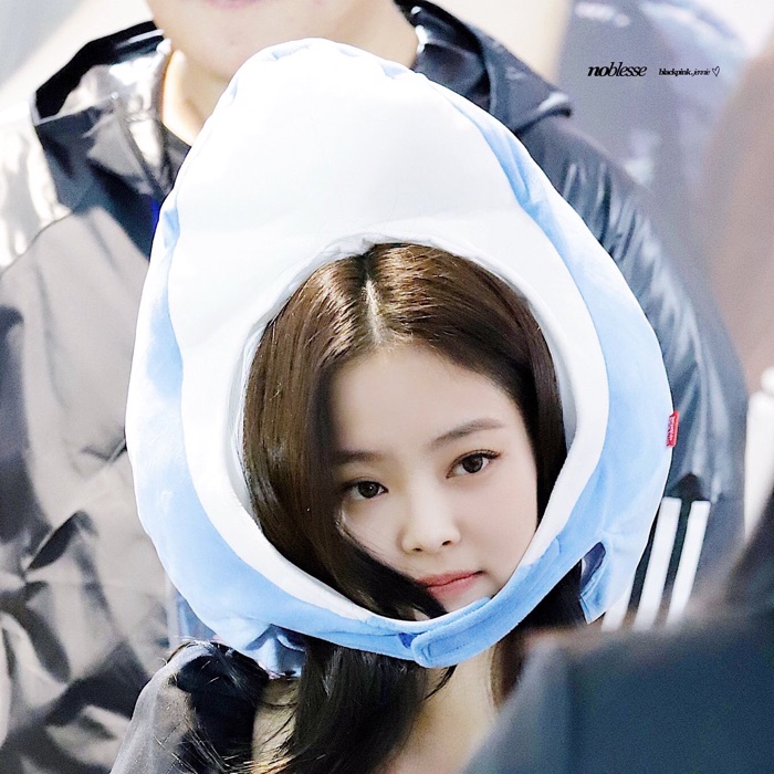 profile cover
