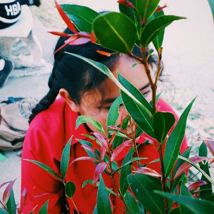 profile cover