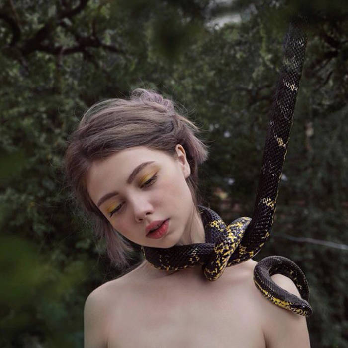 profile cover