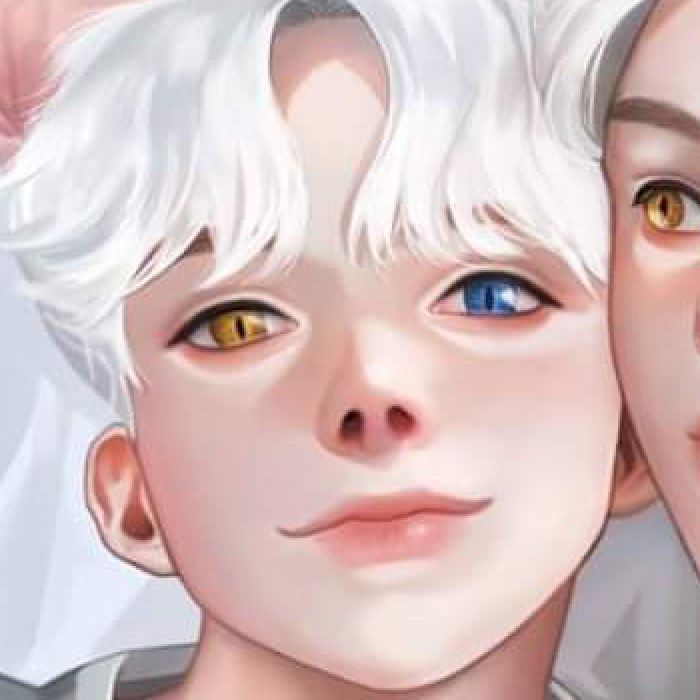 profile cover
